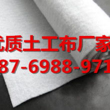 土工格柵 現代工程建設中的隱形守護者